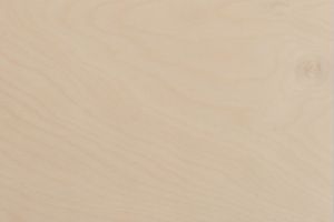 Multiplex Birke BB/CP, ohne verbindliche Maserrichtung