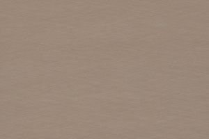 F 579 ST20, Crossed Metal champagner, Zuschnitt