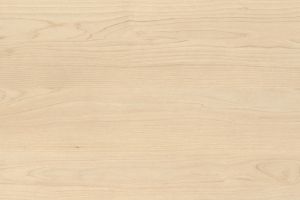 H 1732 ST9, Sandbirke, Zuschnitt