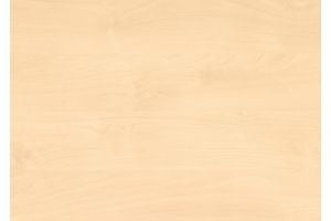 H 1733 ST9, Mainau Birke, Zuschnitt