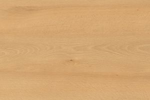 H 1910 ST9, Weidbuche, Zuschnitt