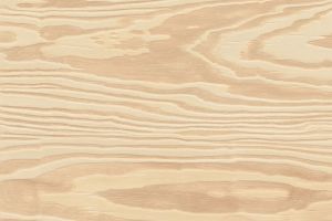 CLEAF Nagold Millennium S083, Rs. Millennium, Zuschnitt