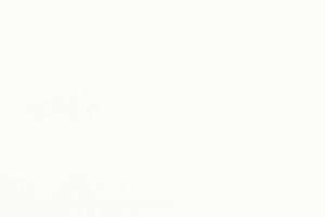 Senosan 1298, Verbundelement einseitig Hochglanz , Zuschnitt