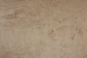 Tischlerplatte Birke/Erle