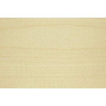Furnierte Span Ahorn europäisch