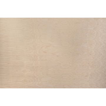 Furnierte Span Birke
