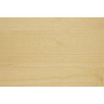 Furnierte Span Birke