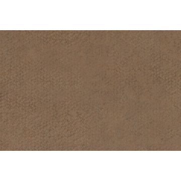 F 323 ST20, Cobra bronze, Zuschnitt