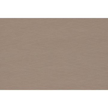 F 579 ST20, Crossed Metal champagner, Zuschnitt