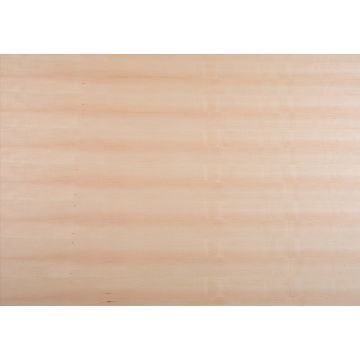 Furnierte Span Ahorn Maple